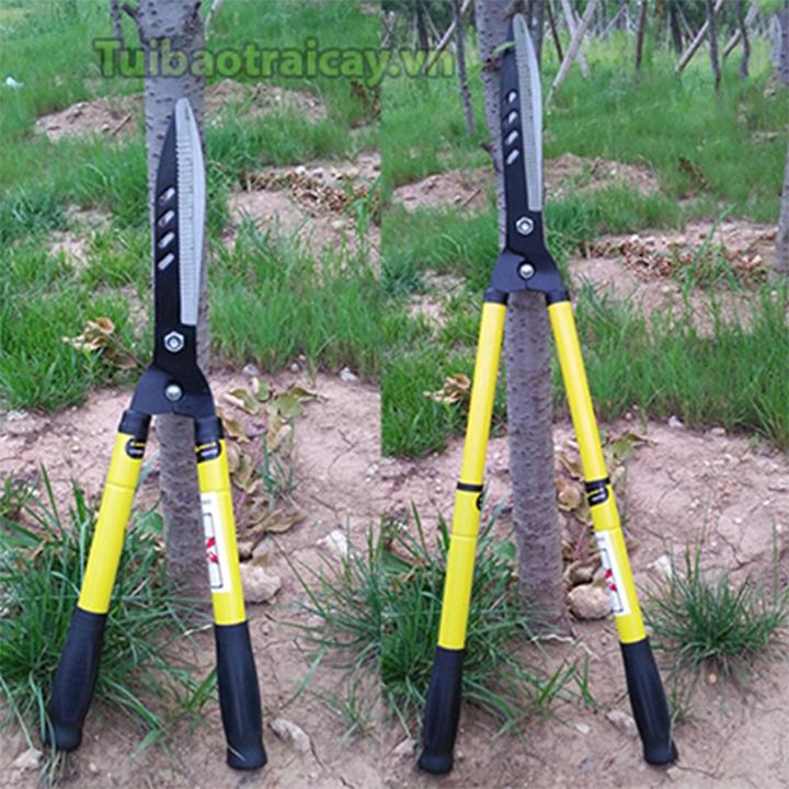 Kéo cắt tỉa cây cảnh, hàng rào