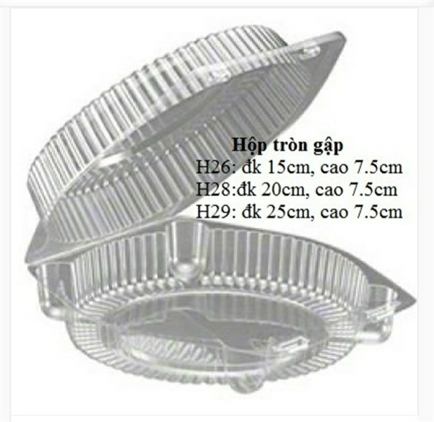 H29- Hộp nhựa trong nắp liền (25*7.5) - Set 10 hộp (0263)
