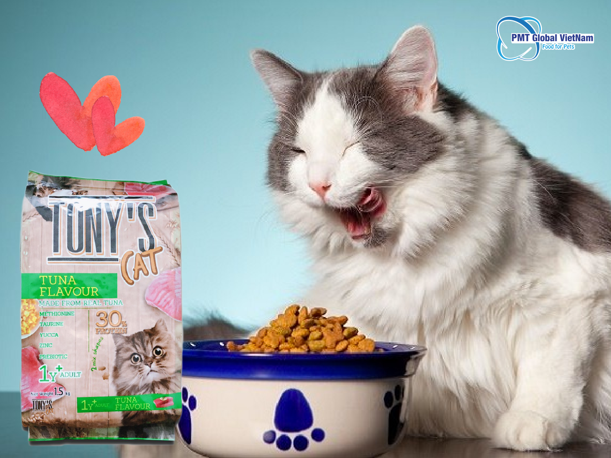 Combo 5 gói Tony s Tony Cat adult tuna flavor 500g thức ăn hạt khô cho mèo