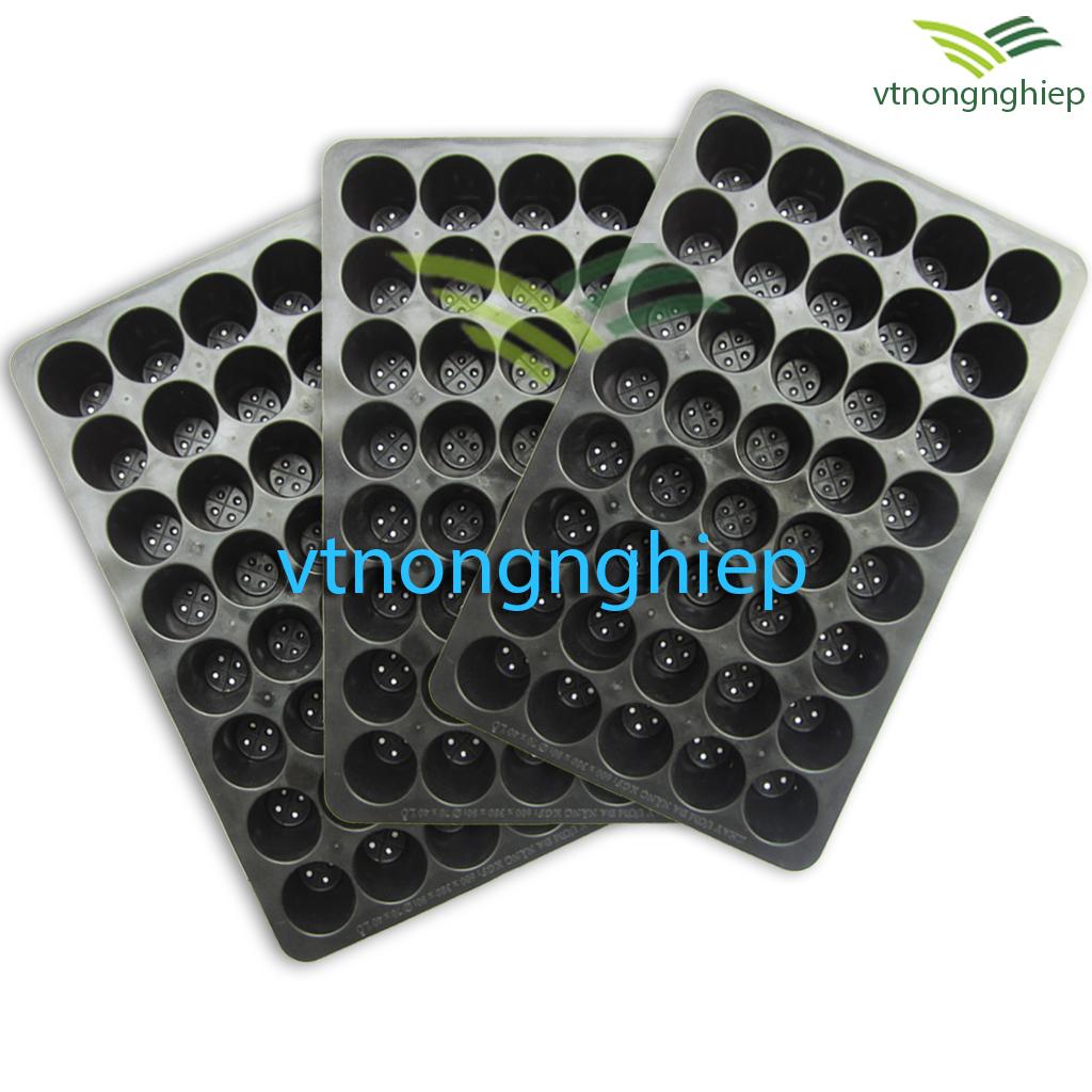 3 Khay nhựa ươm cây 40 lỗ, dày 1mm