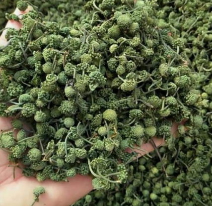 Nụ hoa tam thất sấy khô 1kg GT076