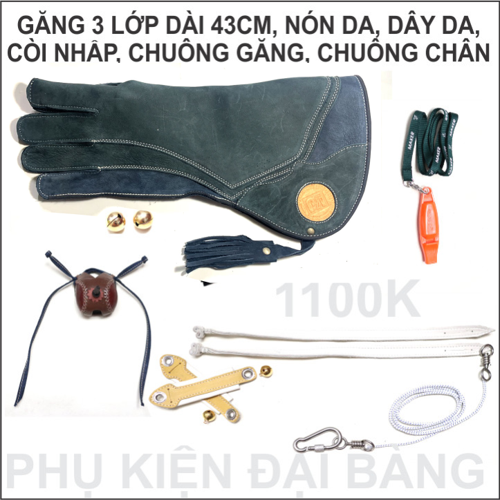 Phụ kiện đại bàng biển