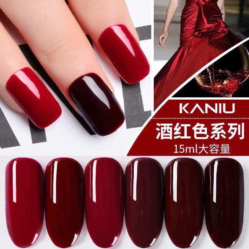 Sơn gel kaniu set 06 chai 15ml
