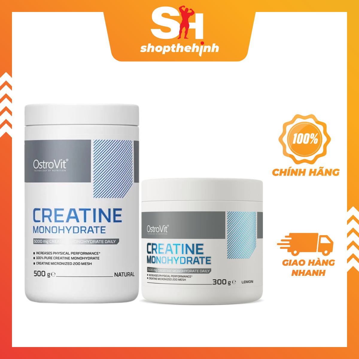 [HỦ / TÚI TÙY ĐỢT] Ostrovit Creatine Monohydrate 300g / 500g / 1kg - Giúp Tăng Sức Mạnh, Sức Bền, Pre Workout, Bổ Sung Trước Khi Tập