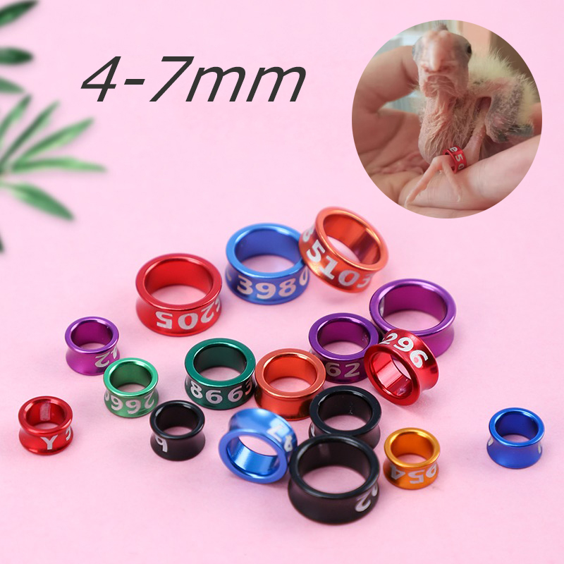 4-7mm 1pcs Vòng đeo chân chim vẹt, nhẫn đeo chân chim, vòng chân vẹt đủ size và nhiều màu sắc tự chọn