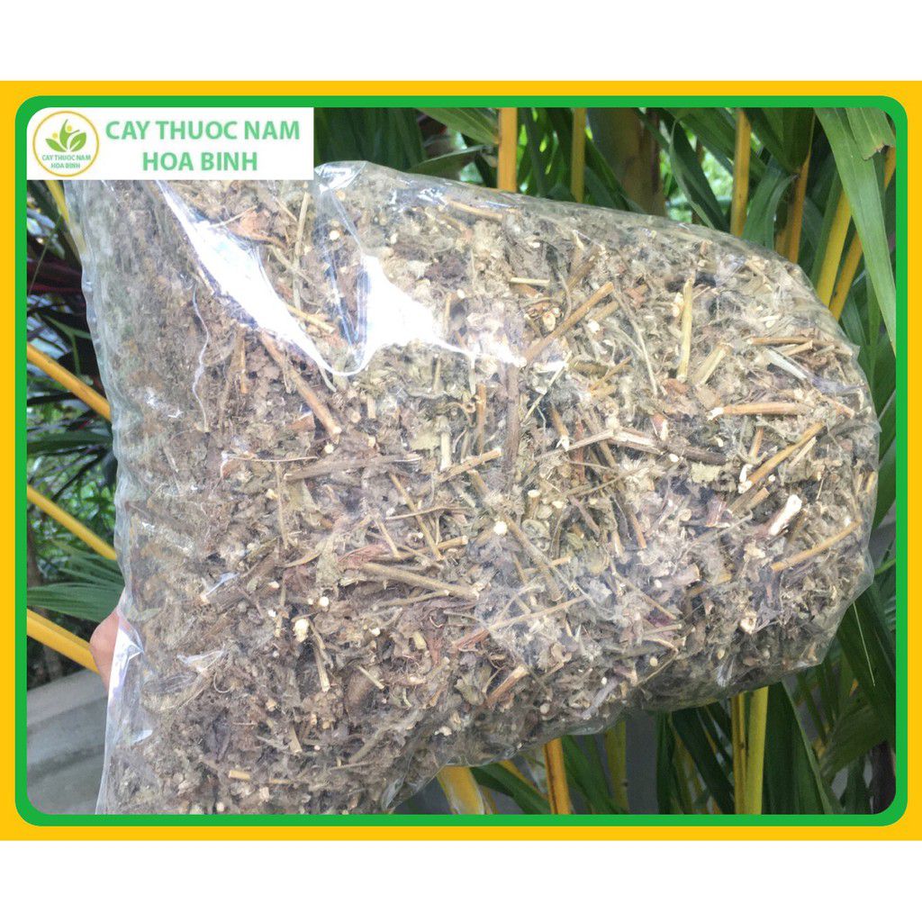 1kg cây cải trời khai thác tự nhiên