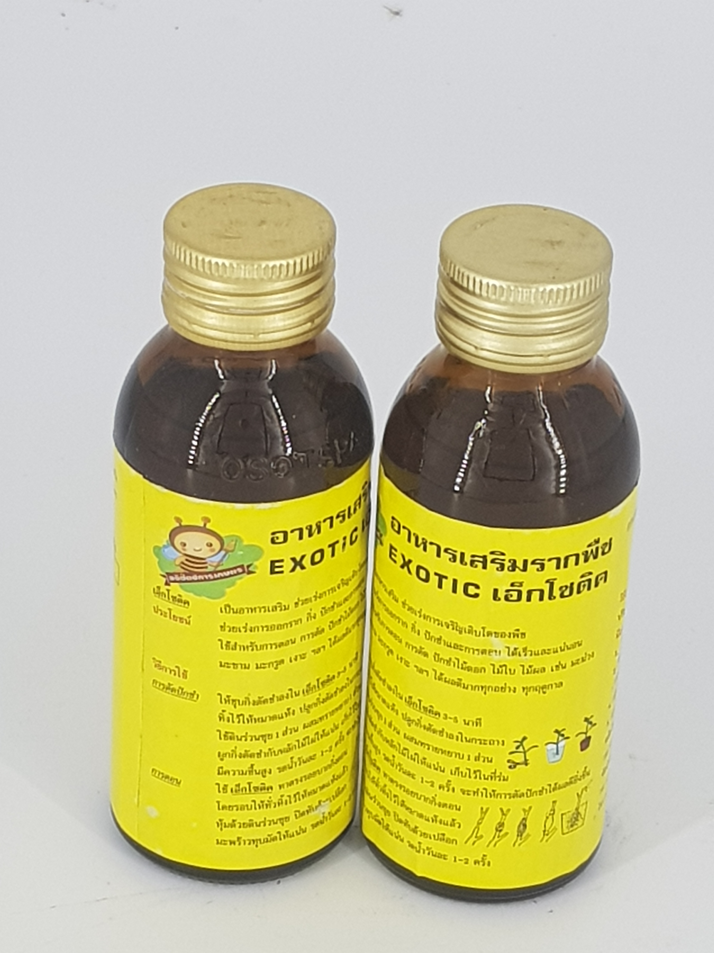 Kích rễ Exotic Thái Lan
