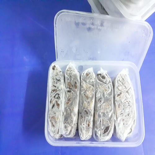 Dế sữa, dế thịt, dế trứng đóng hộp 500gr