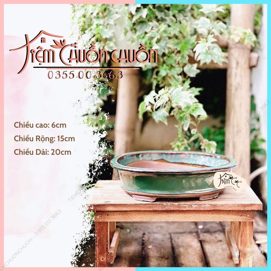 Chậu hoa ovan size đại trồng cây bonsai - chậu đất nung trồng sen đá - tiemchuonchuon - tiệm chuồn chuồn - chậu hoa gốm