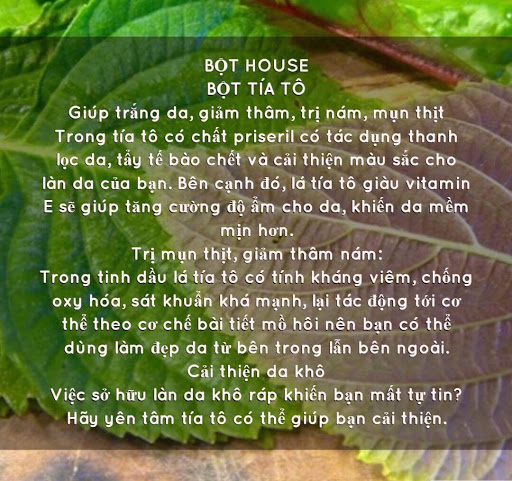 BỘT LÁ TÍA TÔ BEHENA - LIÊN KẾT XANH