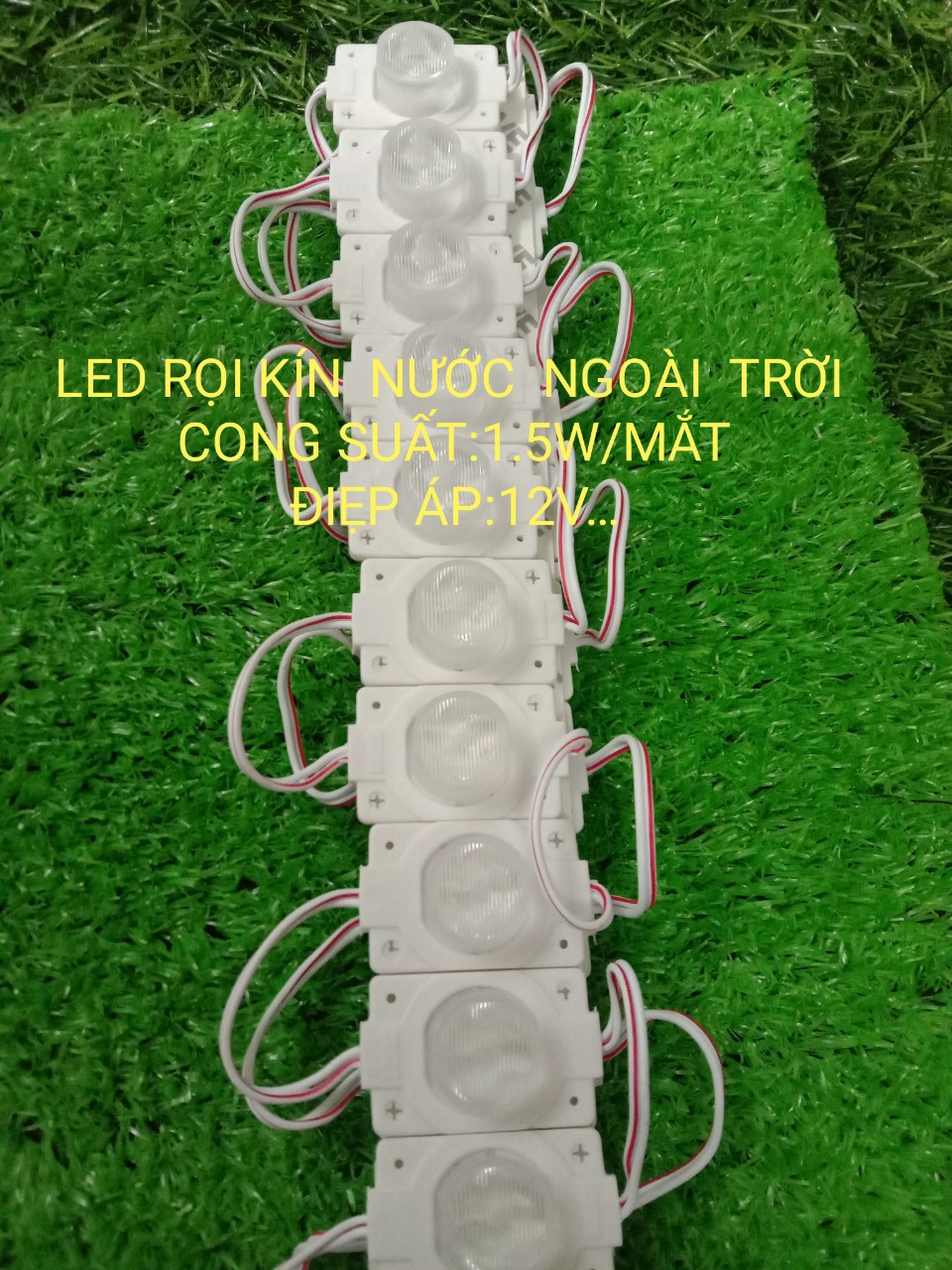 Đèn LED mắt trâu 12v 20 bóng dùng làm biển quảng cáo,trang trí ngoài trời