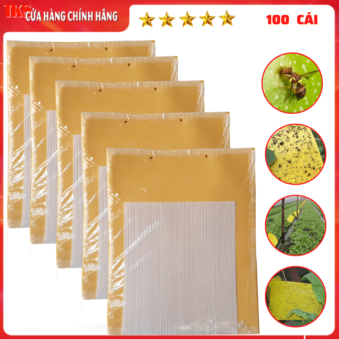 Bẫy ruồi vàng côn trùng đục trái 20 x25 cm dính 2 mặt, an toàn sinh học