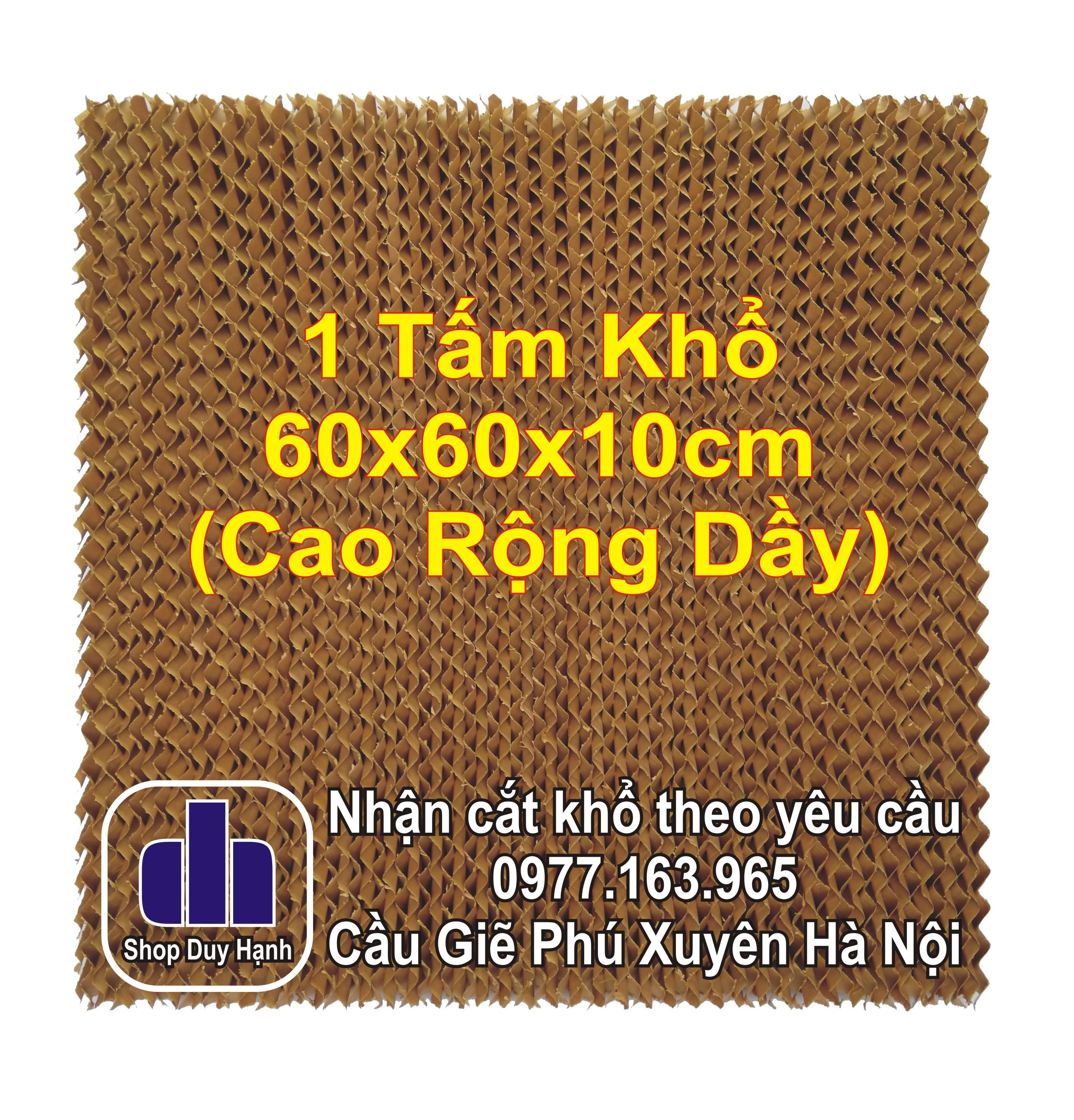 Tấm làm mát không khí khổ 60x60x10cm