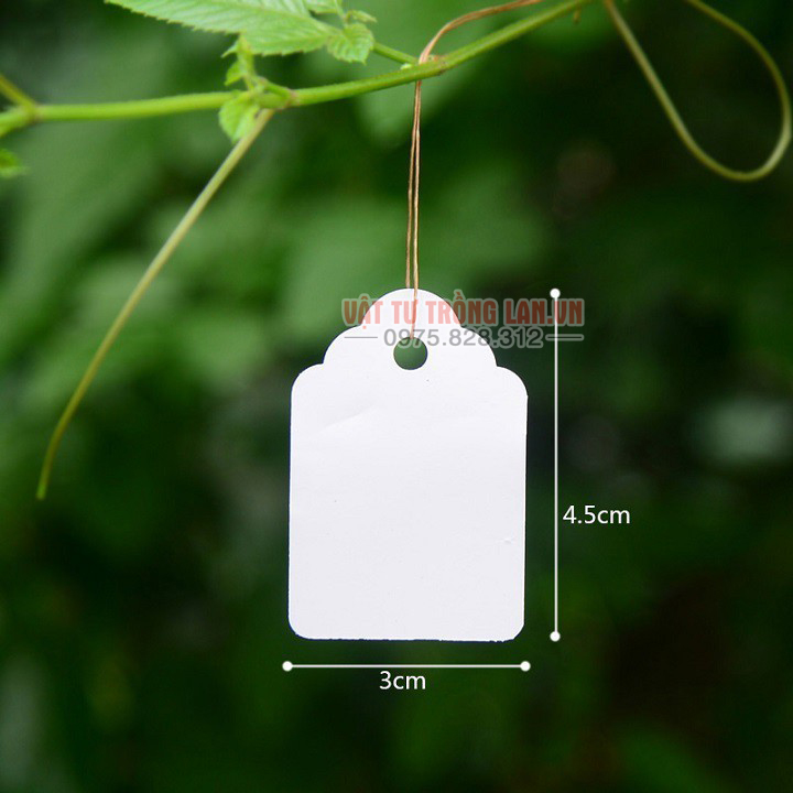 100 thẻ ghi tên cây chống nước kèm dây buộc