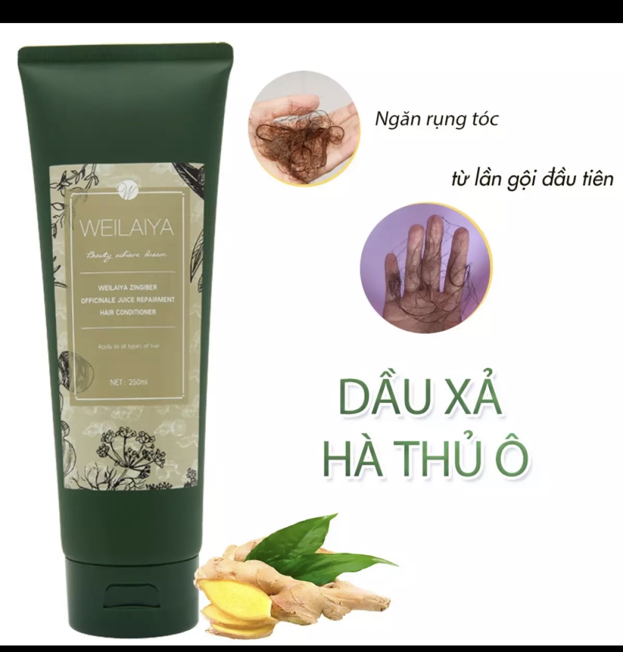DẦU XÃ TINH CHẤT HÀ THỦ Ô 250ML WEILAIYA , GIÚP TÓC GIÃM GÃY RỤNG , CỌNG TÓC DAI , PHỤC HỒI TÓC HƯ TỔN , KÍCH THÍCH TÓC MỌC NHANH CHÓNG .