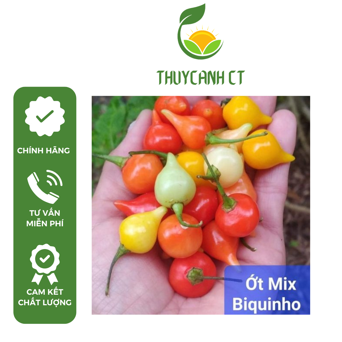 Hạt Giống Ớt Biquinho mix