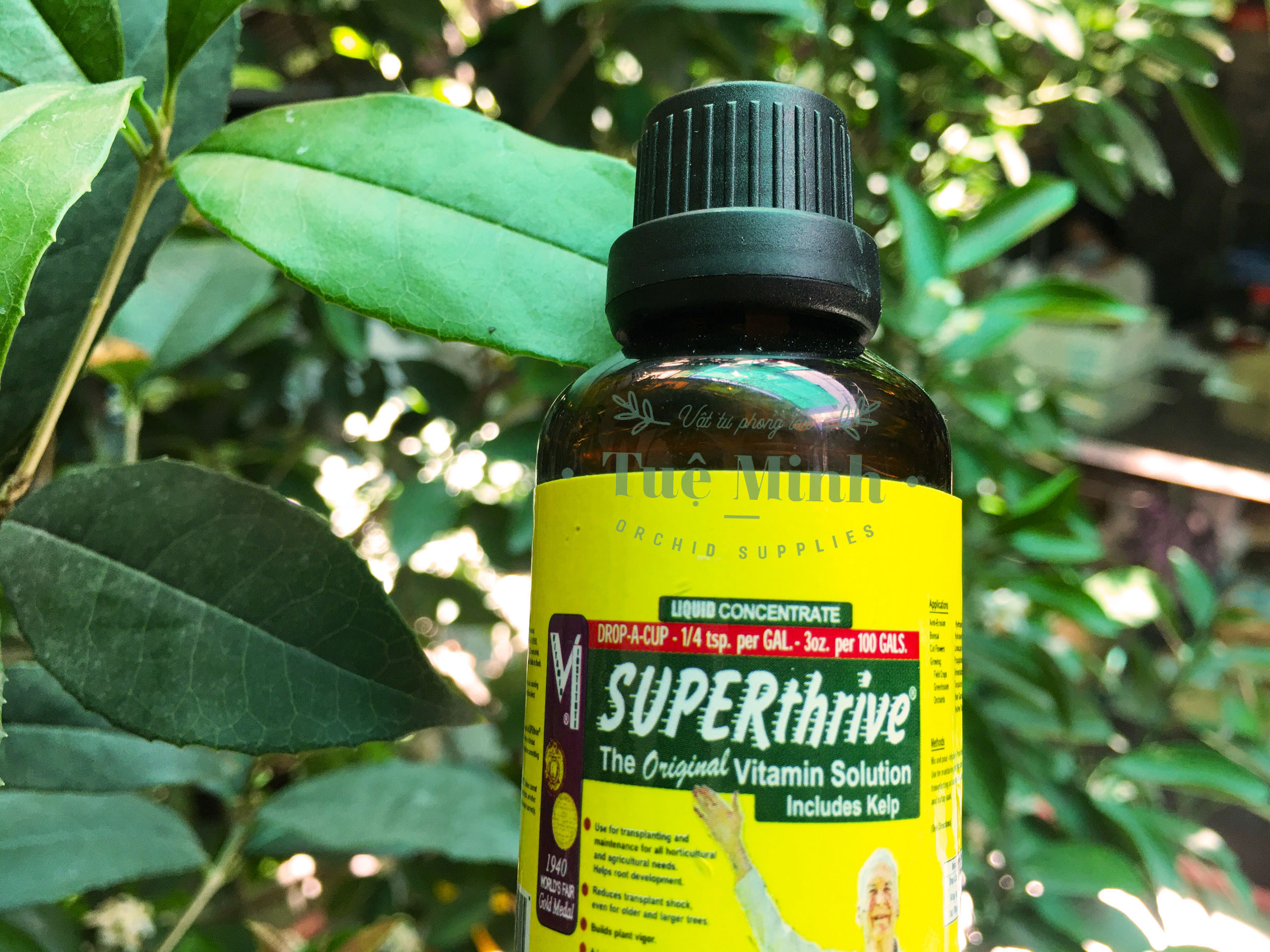 Superthrive Mỹ 50ml kích thích tăng trưởng cho cây