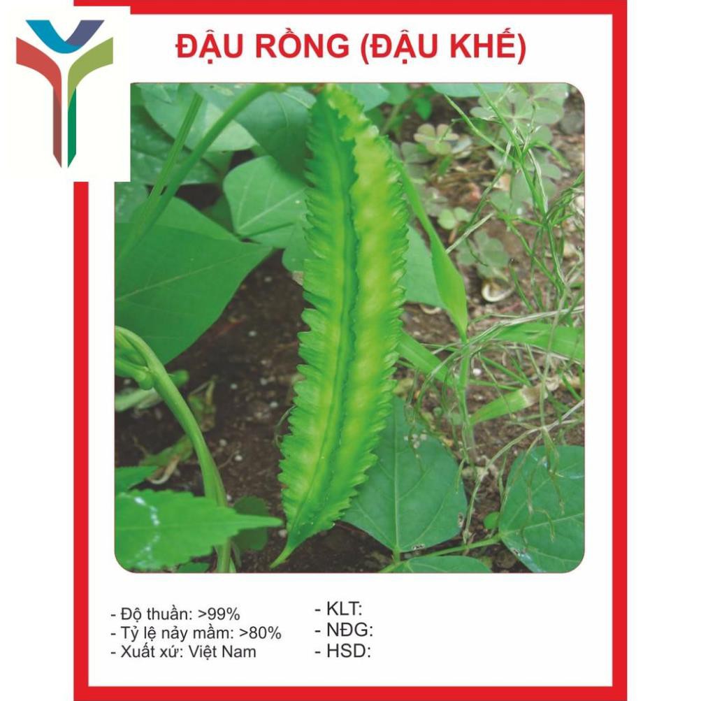 Hạt giống Đậu Rồng 5Gram