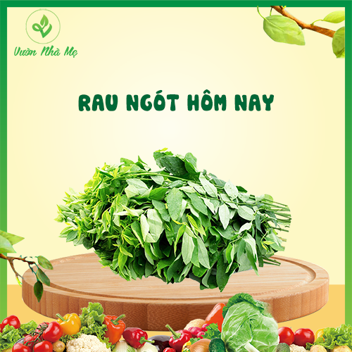 [Giao nội thành Hà Nội] Rau ngót Vườn nhà mẹ - 1kg rau ngót tươi mát, vị ngọt, có tác dụng thanh nhiệt, giàu chất xơ - Rau củ quả tươi sạch, chuẩn VietGap