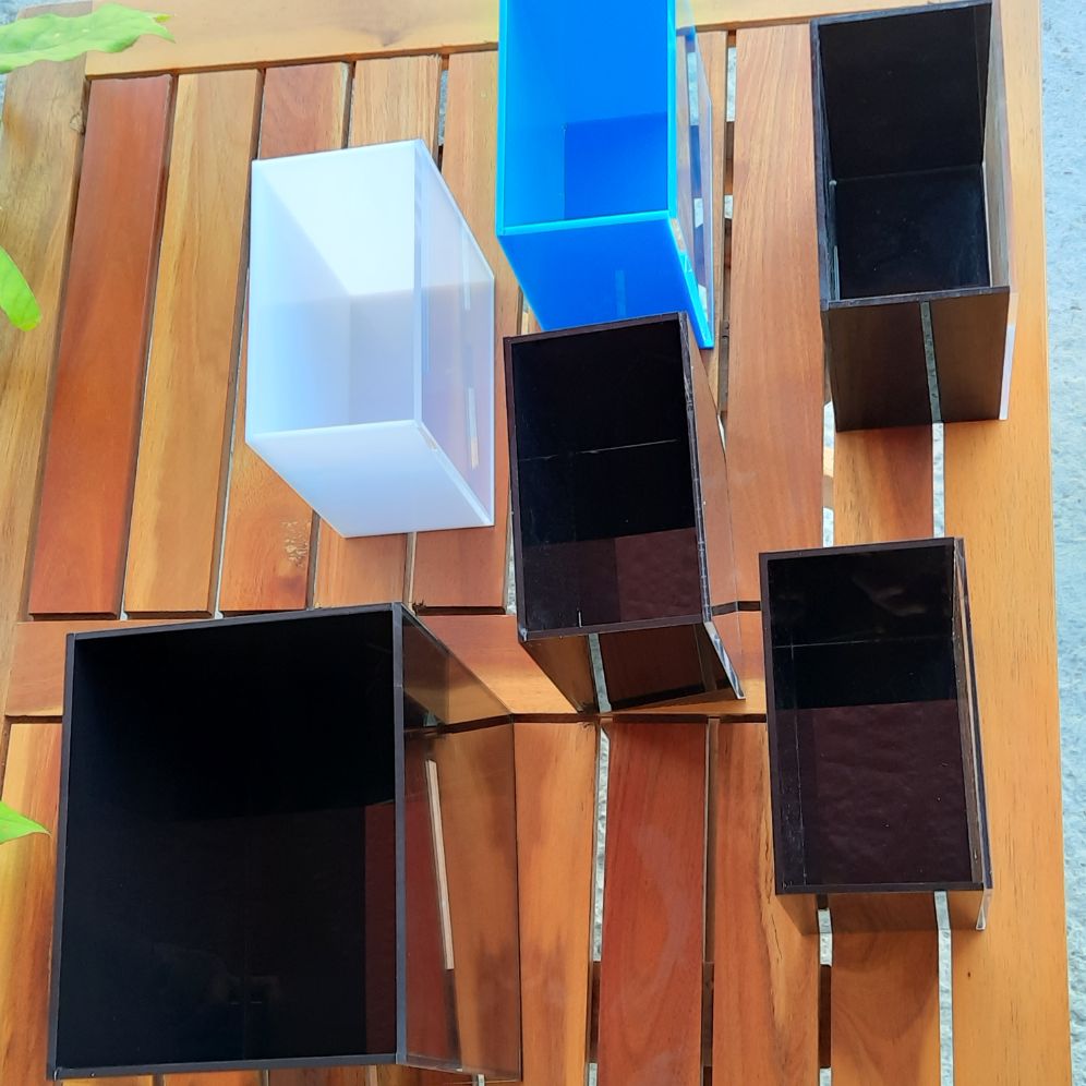 Hồ show cá Guppy & Betta