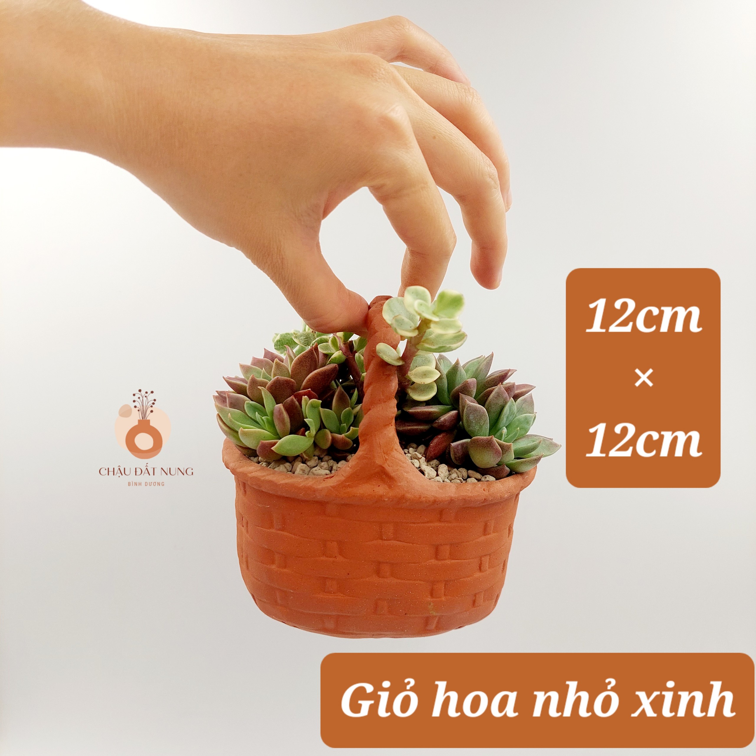 Chậu đất nung, chậu sen đá - giỏ hoa nhỏ xinh 1212, dài 12cm, rộng 8cm, cao 12cm