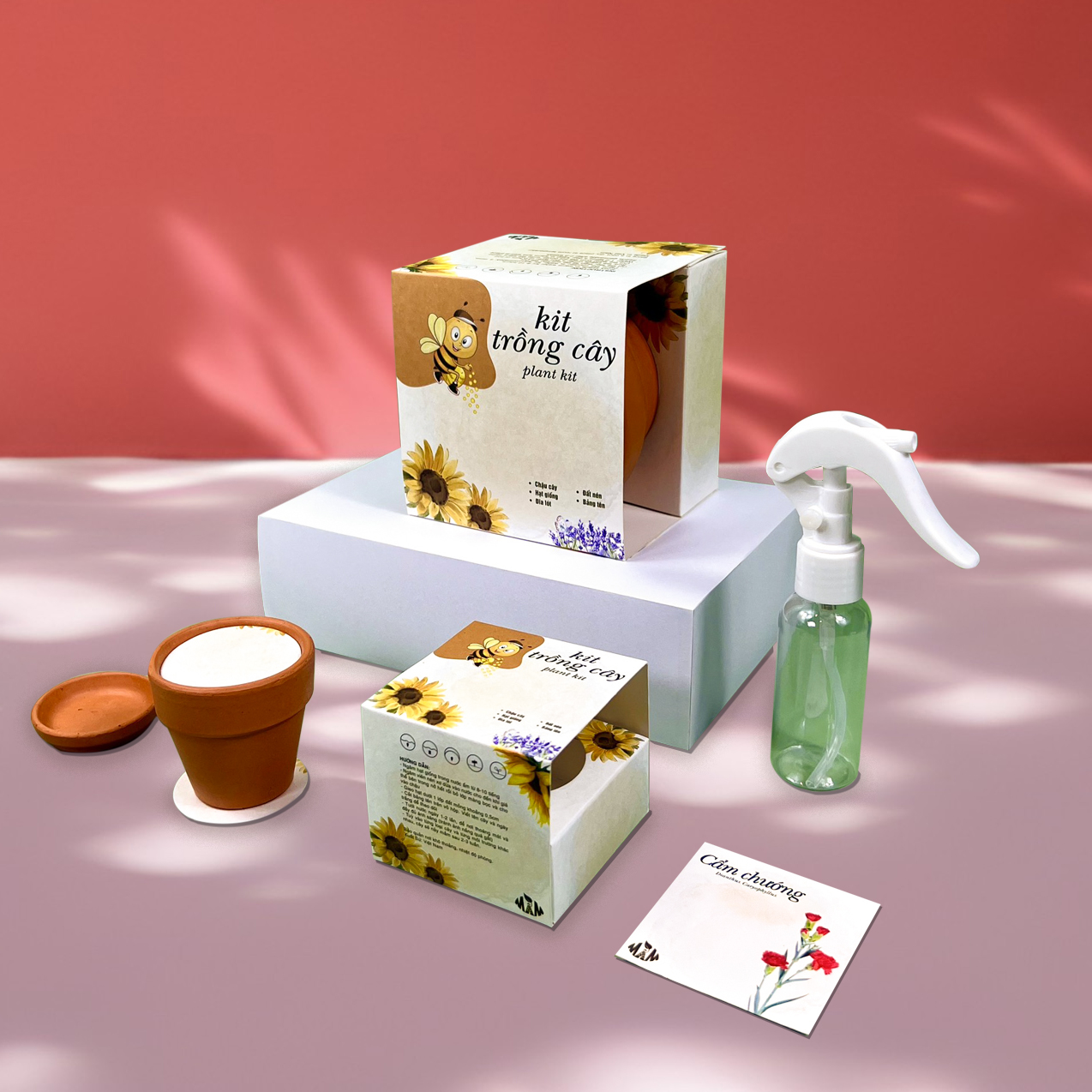Kit trồng cây mini - bộ trồng cây hạt giống hoa cẩm chướng mini | plant kit - dianthus mầm xinh