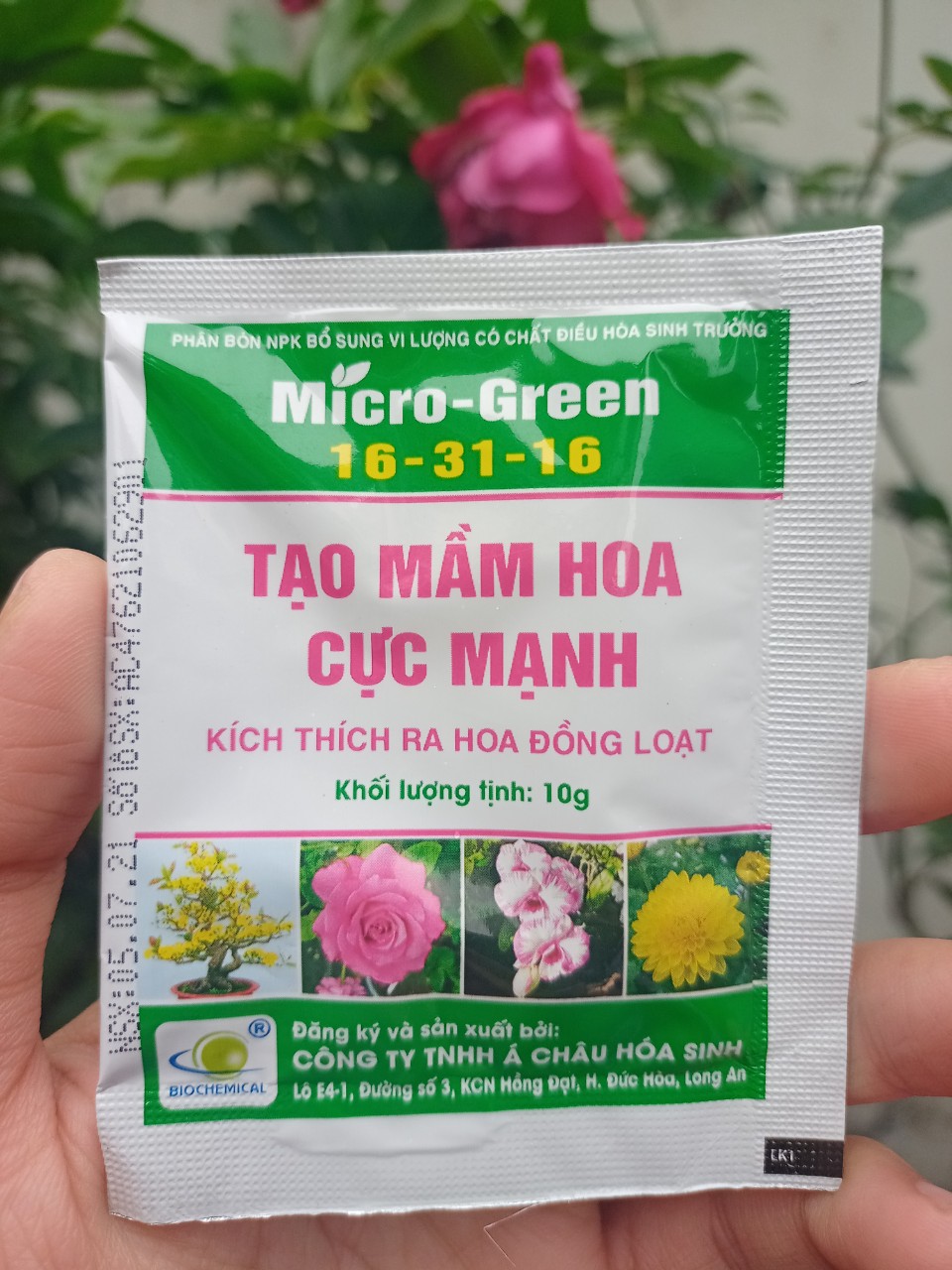 Phân bón kích ra hoa Micro Green NPK 16-31-16 +TE +Phụ gia đặc biệt giúp tạo mầm hoa cực mạnh - 1 gói 10 gam