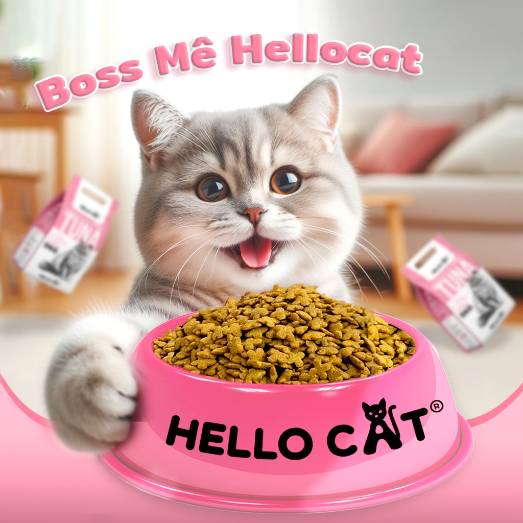 [giao2h pettohouse] 1kg chiết lẻ thức ăn cho mèo mọi lứa tuổi Hello Cat Tuna hạt khô vị cá ngừ sản xuất tại thái lan