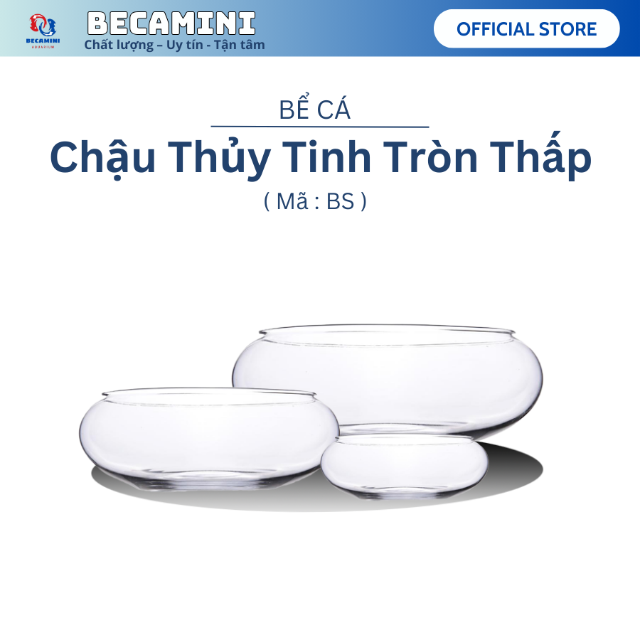 Bể cá mini, bể cá TRÒN THẤP( CHỌN MẪU)