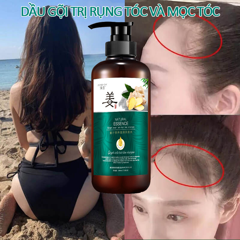 Dầu gội kích thích mọc tóc nhanh dầu gội mọc tóc 500ml Ngăn rụng tóc và dưỡng tóc Kích thích mọc tóc tươi mát chống dầu gốc tóc vững chắc và tóc khỏe mạnh