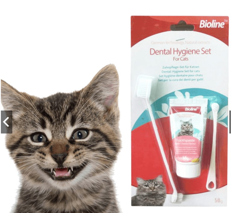 Bộ Kem Đánh Răng Bàn Chải Đánh Răng Mèo Dental Hygiene Set Bioline 50g