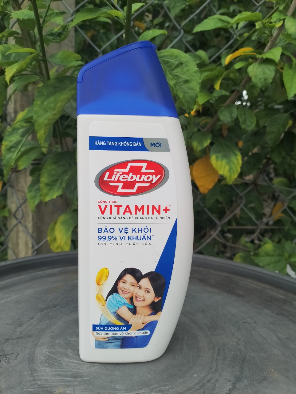 Sữa tắm Lifebuoy 240g