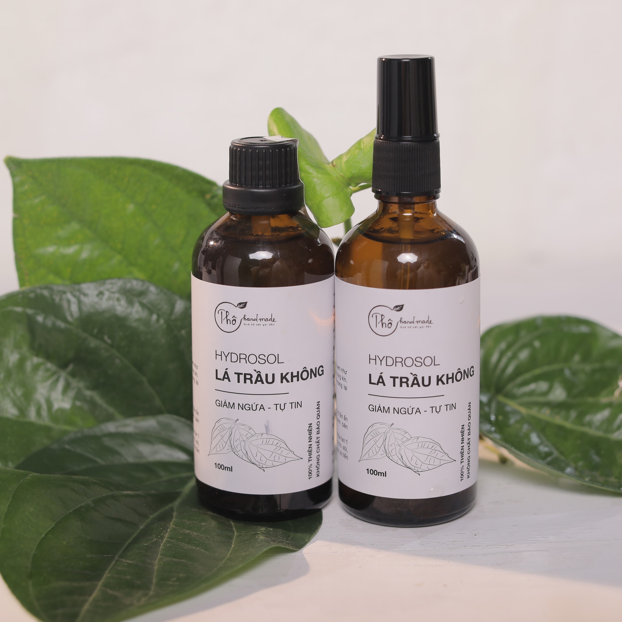 Hydrosol trầu không Vietket