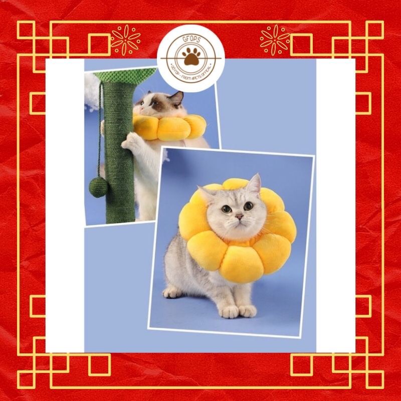 Vòng chống liếm cho chó mèo hoa cúc hot hit êm ái có dây rút