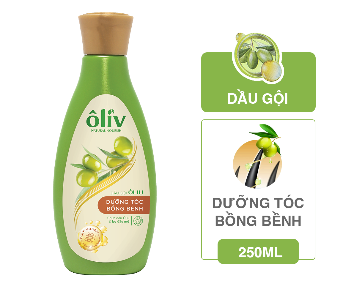 Dầu gội ôliv bồng bềnh 250ml - v20