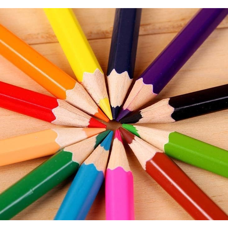 Bút chì màu nước Colormate (nhiều màu) - Họa Cụ Colormate