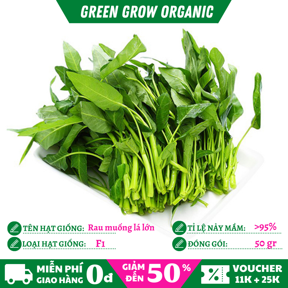 Hạt giống rau muống lá lớn hữu cơ chịu nhiệt năng suất cao ms154 green grow organic