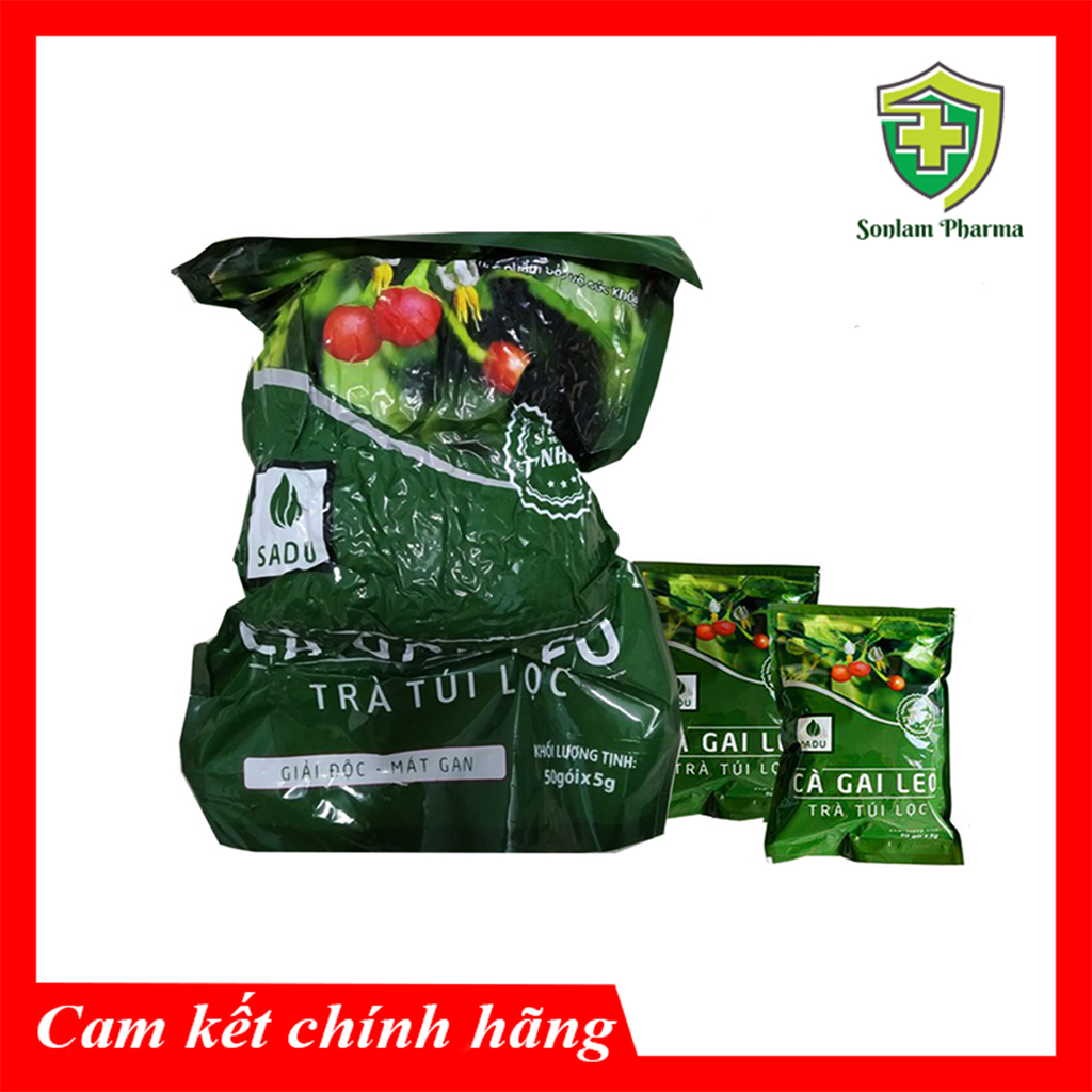 Trà Túi Lọc Cà Gai Leo Loại Lớn Sadu ( Bịch 50 Gói x 5g )