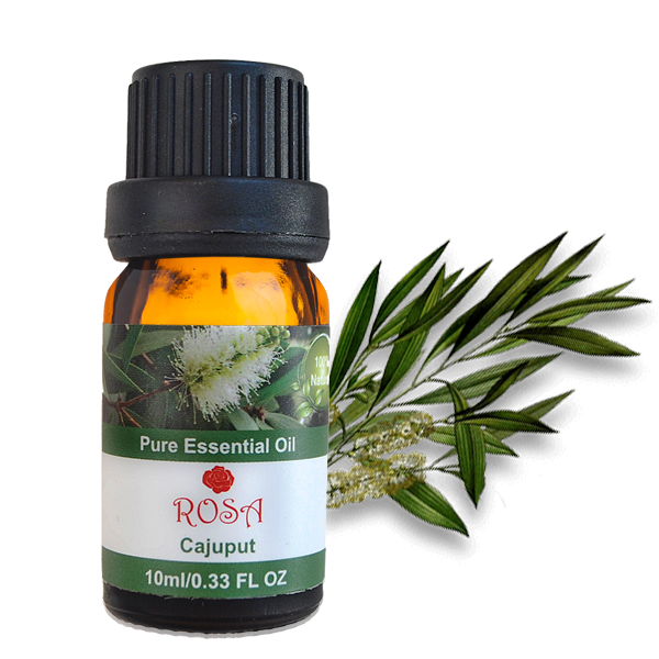 [HCM]Tinh dầu tràm gió dành cho mẹ & bé  xông diệt khuẩn thông mũi phòng ho cảm lạnh 10ml