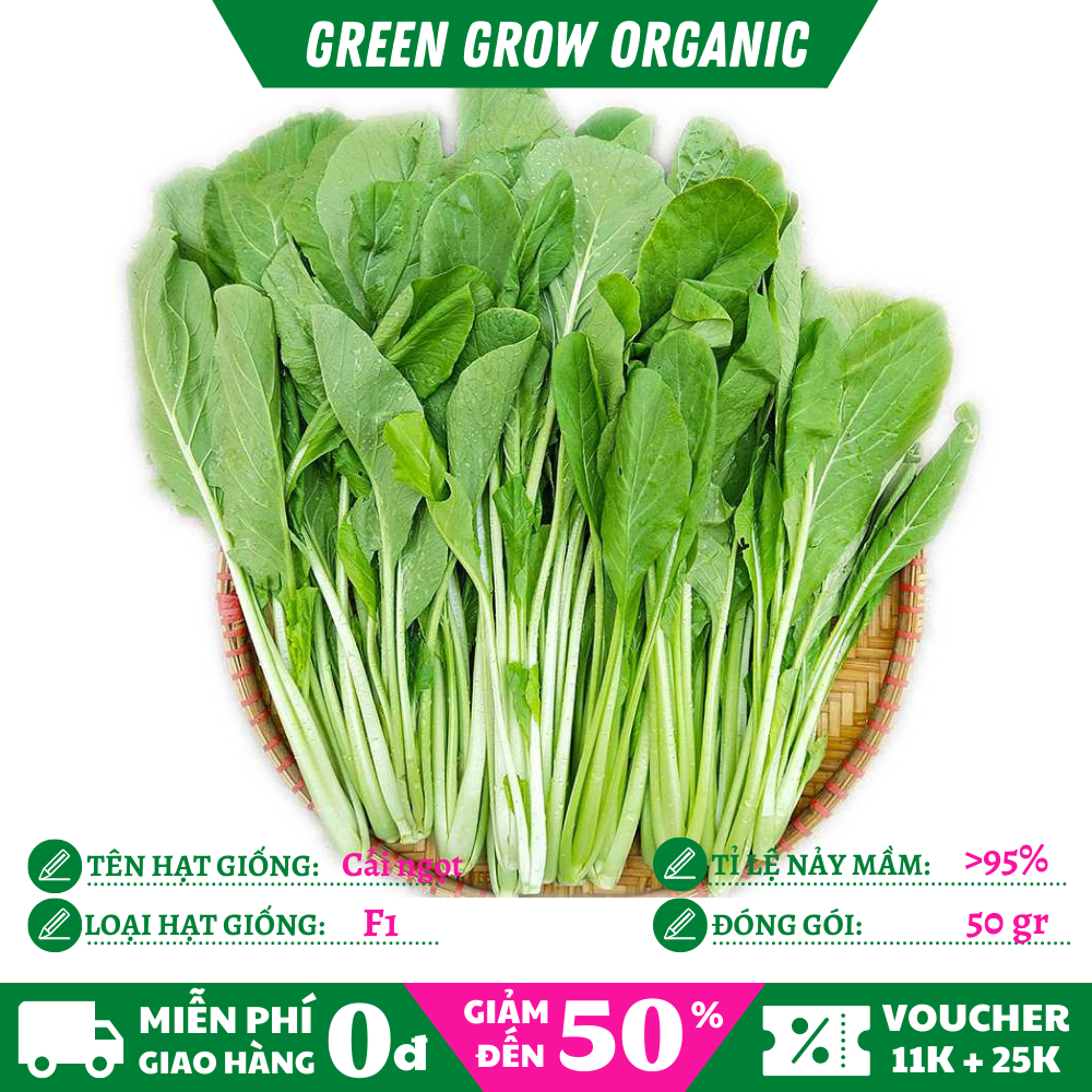 Hạt giống rau cải ngọt cao sản chịu nhiệt năng suất cao MS155 GREEN GROW ORGANIC