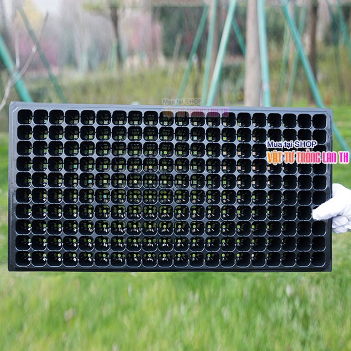 5 khay nhựa ươm hạt giống 200 lỗ - ch11
