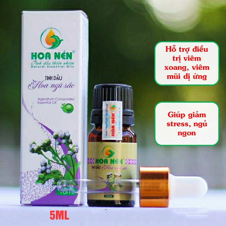 Tinh dầu Hoa Ngũ Sắc nguyên chất Hoa Nén 5ml - Tinh dầu xông phòng, nhỏ mũi, thích hợp với người bị viêm xoang, viêm mũi dị ứng