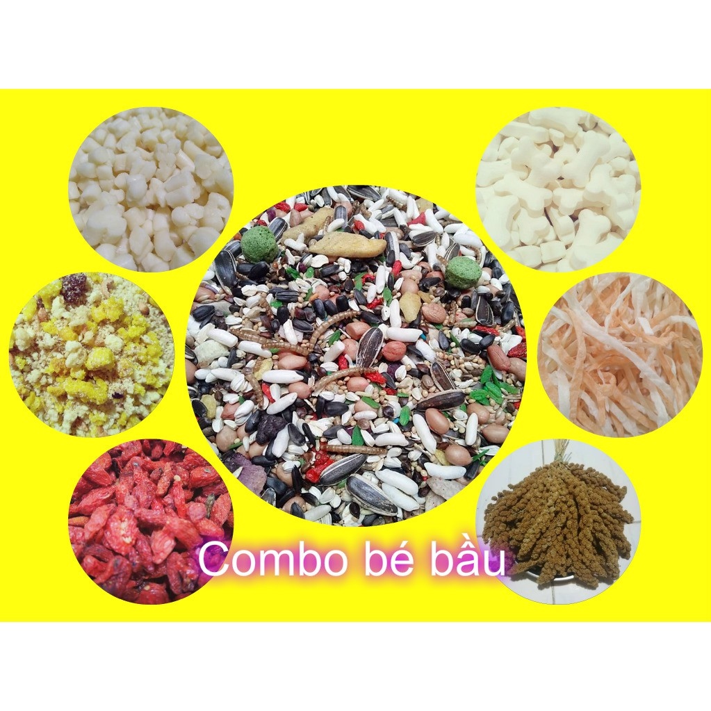 Combo cho bé bầu - Thức ăn hamster
