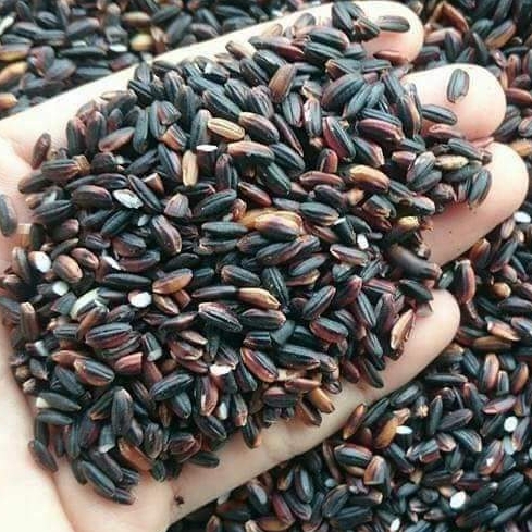 1kg gạo nếp cẩm Mường xén nghệ An