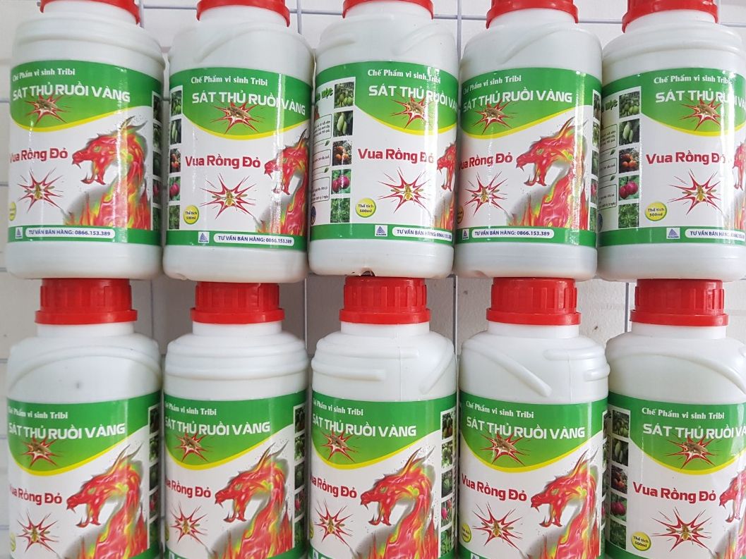 {COMBO MUA 10 TẶNG 1} chế phẩm sinh học SÁT THỦ RUỒI VÀNG (500ml): thuốc xua đuổi ruồi vàng, diệt ruồi vàng, dòi đục quả hại cây trồng