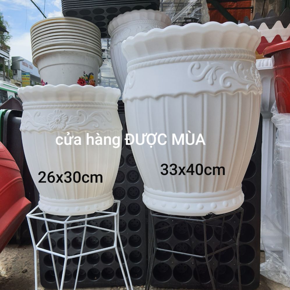 chậu lu sọc đường kính 26cm cao 30cm.