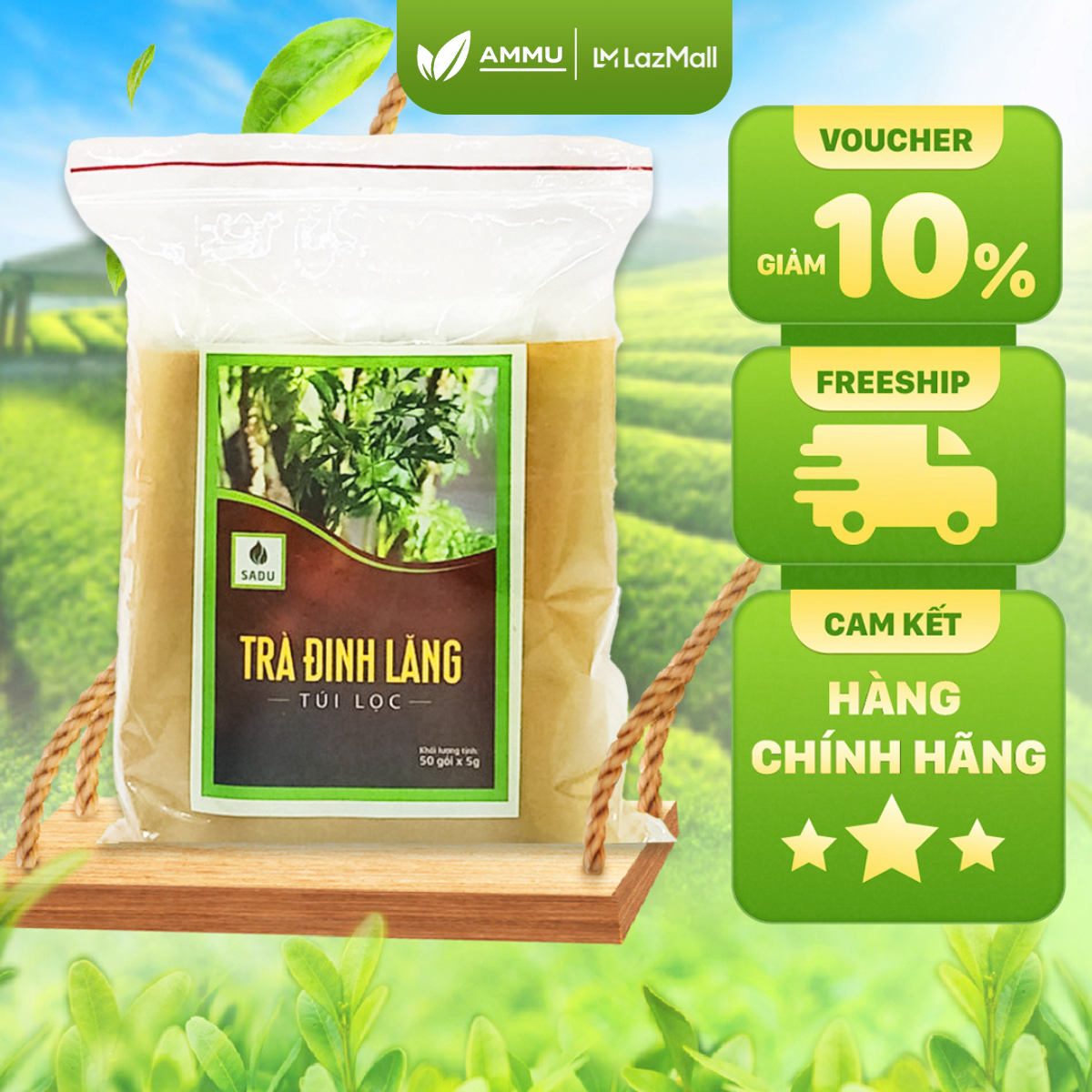 Trà đinh lăng túi lọc sadu 50 túi 250g