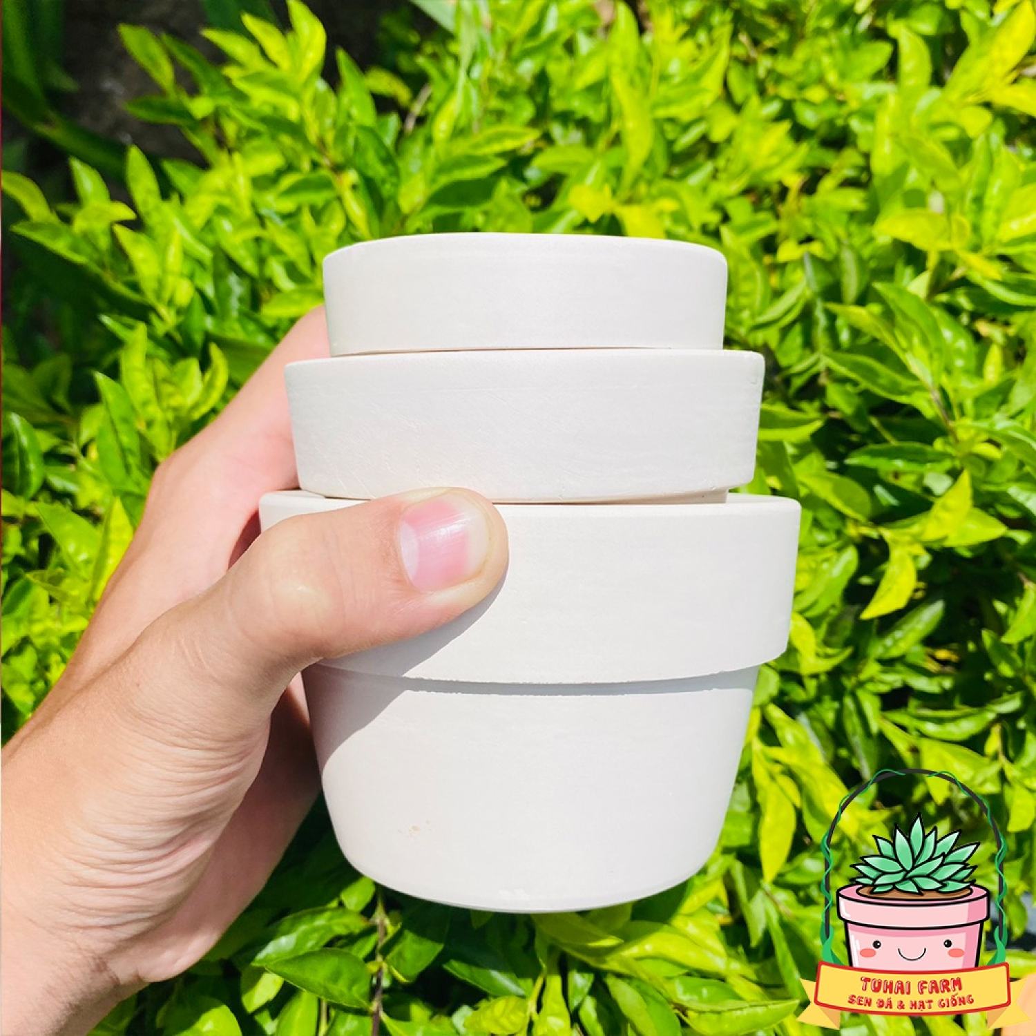 Chậu đất nung mini trồng sen đá, xương rồng - Nhiều Size
