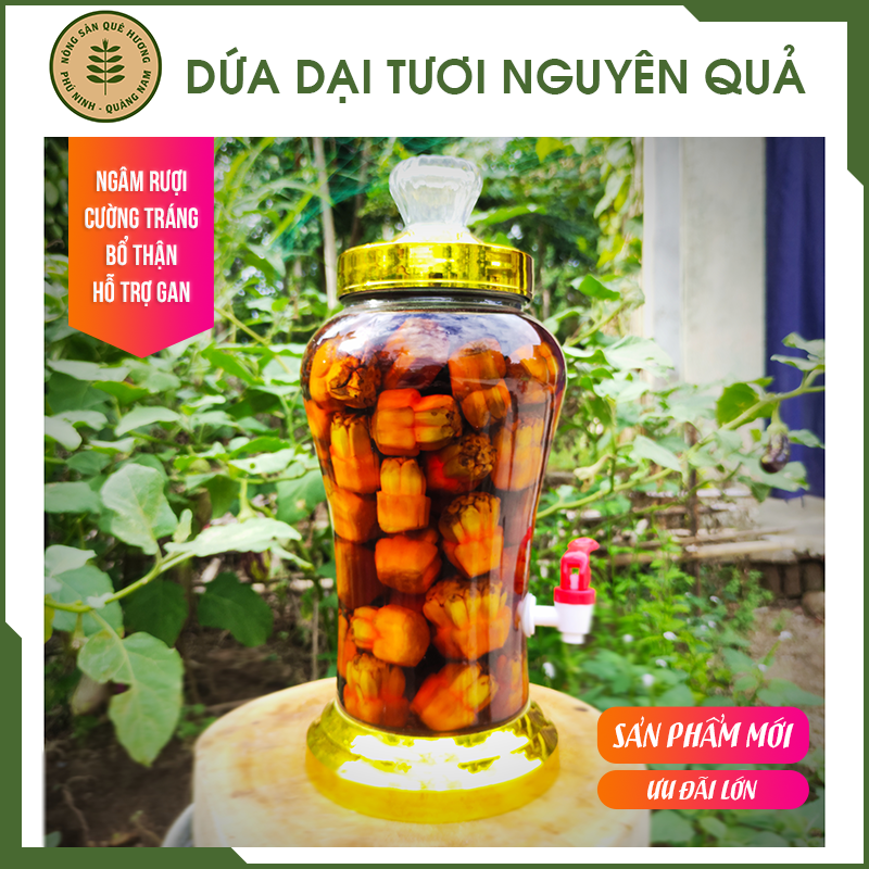 QUẢ DỨA DẠI TƯƠI TÁCH MÚI nguyên chất dùng ngâm rượi giúp cường tráng, bổ thận, thanh lọc gan (500gram/túi)