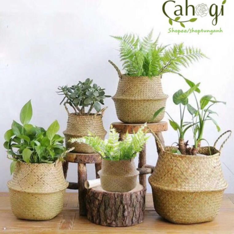 Xưởng SX- Giỏ cói túi cói bị cói size 20-25-30cm để trồng cây -Tre VN